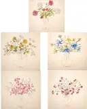 Myrtha Lugaro, Five works: Bouquet of Summer Flowers, Mixed media (Pen and watercolor) on paper