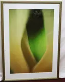 American School, Composition with Green Leaf, Photograph