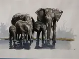 Elephant Herd by Arthur Cotton Moore, Watercolor, sold Sep 2024