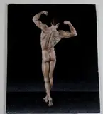 Joseph Regan, Homme, 2008, [LGBTQ+ INTEREST], Acrylic on board. dated lower left hand corner