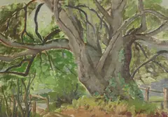 Waveney Frederick, Untitled, oil on canvas 30.5 x 40.5cm .