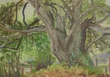 Waveney Frederick, Untitled, oil on canvas 30.5 x 40.5cm .