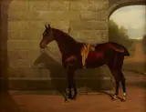John Edward Chapman Mathews, A chestnut race horse in a courtyard, oil on canvas