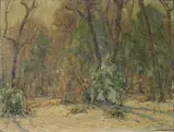 Frank Swift Chase, Wooded landscape