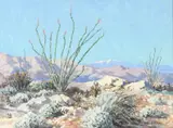 Carl Sammons, Desert Ocotillo with distant mountains, oil on canvasboard