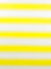 Emi Winter, Untitled, 2002, oil on canvas