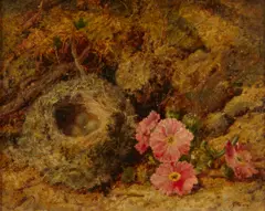 Oliver Clare, A still life with flowers and bird's nest; also two still lifes attributed to George Clare (a group of three), first signed 'Oliver Clare' (lower right); second bears indistinct signature 'G. Cl[..]' (lower right); third bears signature 'G. Clare (lower right)