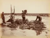 Francis Meadow Sutcliffe, Crab Pots, 1880s