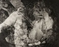 Lisa Gray, Ancient Heart, 1992, Platinum-palladium print, mounted to board