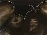 Terry Flynn, Neon Pears; Pears and Light, 1987; 1988