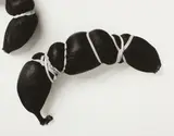 unknown Artist, #116 Untitled (Bananas); #234 Barbecued Chicken