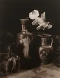 Len Prince, Vase Collection, 1992, Large-format toned-gelatin silver print on linen, mounted to board with affixed double overmat