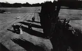 Tony Ray-Jones, Glyndebourne