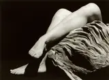 Will Paice, Untitled (Group of nudes, still lives, and abstract scenes), c. 2004