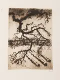 Bohuslav Reynek, Three Birches in Snow