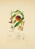 Pêcheur pénitant (Aus: Flordali/Les Fruits) by Salvador Dalí, 1969/70, Fotolithografie und Radierung auf BFK Rives (Wasserzeichen), sold Jan 2024