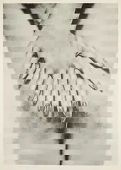 Jiří Kolář, Ohne Titel, 1968, Offset auf leichtem Karton