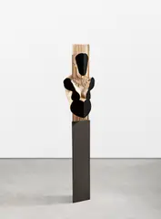 Gregor Gaida, Echo vigilantis, 2017, Eichenholz, Ahornholz, MDF (schwarz) und Acrylglas