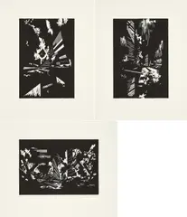 David Schnell, Mikado, Rast und Pollen, 2008, Jeweils: Linolschnitt auf Somerset (Wasserzeichen)