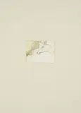 Joseph Beuys, Hirschkopf (Aus: Tränen), 1985, Farbradierung auf Velin, aufgewalzt auf graues Bütten
