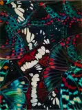 Nathalia Edenmont, Madness, 2011, C-Print. Auf Aluminium kaschiert. Unter Glas
