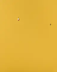 Paul Cowan, Ohne Titel, 2012, Öl und zwei Angelköder, collagiert auf Leinwand