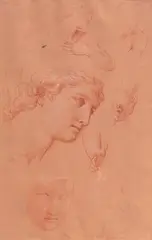 Giuseppe Bottani, Studie der Köpfe, Hände und des männlichen Oberkörpers, Rötel, weiß gehöht auf Pauspapier