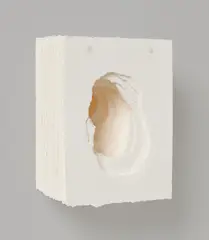Angela Glajcar, Terforation 2019-042, 2019, Papier (200g), gerissen. Auf Halterung aus Metall und Kunststoff
