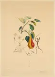 Poire Don Quichotte (Aus: Flordali (Les Fruits)) by Salvador Dalí, 1969/70, Kaltnadelradierung und Farblithografie auf festem Velin, sold Aug 2024