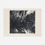 Peter Alexander, San Blas II, 1988, lithograph on Guarro