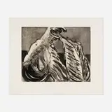 Bill Jensen, Solace, 1993, aquatint with Chine collé on Gampi laid down on Torinoko Echizen