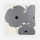 Donald Sultan, Silver Poppies, Sept 7, 2022 (from the Poppies portfolio)