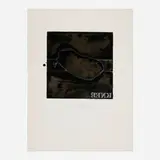 Jasper Johns, Knee (from the Casts from Untitled series), 1974, lithograph in colors on Richard de Bas Narcisse
