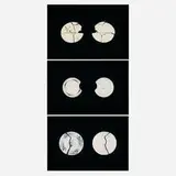 Barb Choit, Three Works, 2007, digital C-print