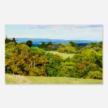 Peter Loftus, April Breezes: Pogonip, 1999, oil on canvas