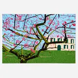 Iris Kojaman, Holzapfelbaum, 2003, acrylic on canvas