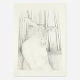 Rebecca Morgan, Deer Mask, 2009, graphite on paper
