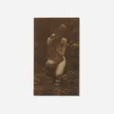 Anne Brigman, The Source (from the Camera Work series), c. 1909, photogravure