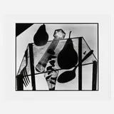 Abelardo Morell, Still Life With Pears: Photogram on 20 x 24 Film