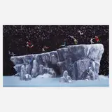 The Cliff by Walter Martin and Paloma Muñoz, 2006, Diasec mounted c-print, sold Apr 2022
