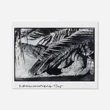 Robert Rauschenberg, Untitled (Alligator, Fort Myers), gelatin silver print