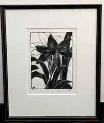 Amaryllis by Grace Arnold Albee, 1978, Pencil signed, titled, and dated, sold Nov 2024