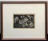 Grace Arnold Albee, Field Daisies, 1939, Pencil signed, titled and dated at base