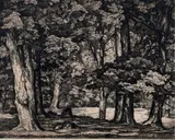 Luigi Lucioni, Tree Tapestry, circa 1945, This etching is likely from an edition of 250 issued by Associated American Artists