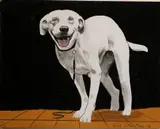 Arthur Cotton Moore, Happy Dog, 2016, Oil on board