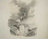 American School, The Stag, Pencil and ink on paper