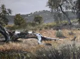 Ray Friesz, The Golden Meadow, Oil on board