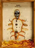 Tim Ernst, Maikäfer, 2010, Ölfarbe und Collage über entomologischem Präparat. Im Holzrahmen