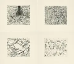 Tony Cragg, Dinge, Herbst, Current und Das Neblige, 1994, Jeweils: Radierung auf Bütten