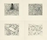 Tony Cragg, Dinge, Herbst, Current und Das Neblige, 1994, Jeweils: Radierung auf Bütten
